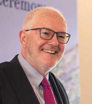 rob ellis